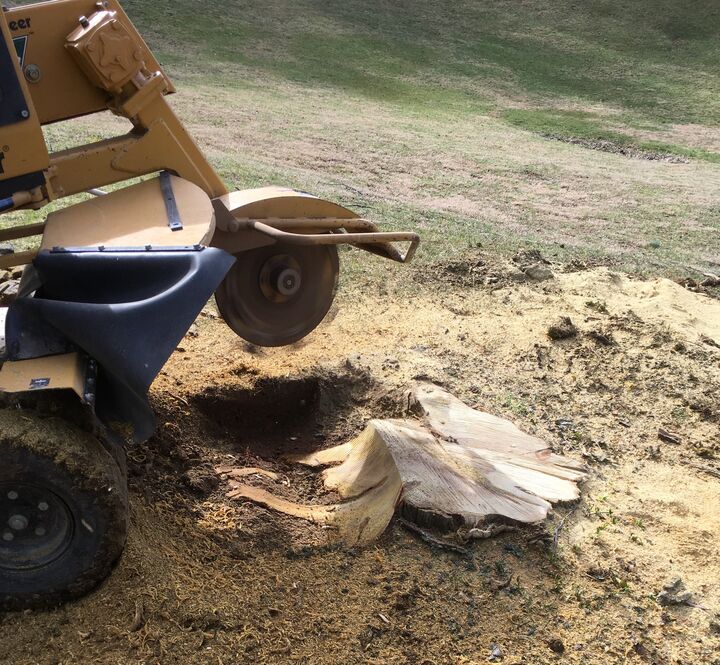 Tree Fellars Vermeer stump grinder cutting a freshly removed stump below grade level